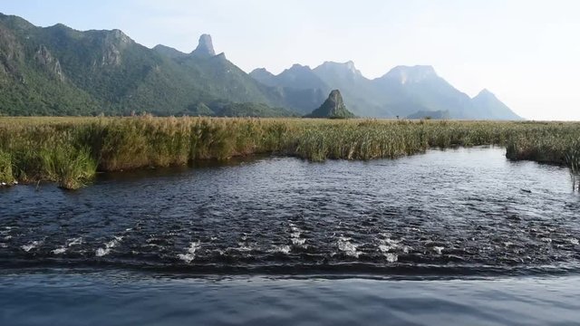 Stream flowing and limestone mountain on wetland filled with green plant , Khao Sam Roi Yot National Park , Thailand