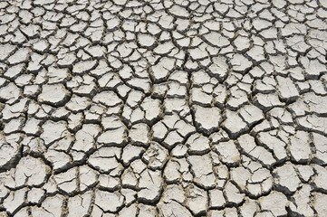 The parched soil