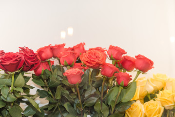 Bright beautiful roses in a bouquet. Roses in the store are sold. Beautiful fragrant gift for holidays and weddings.
