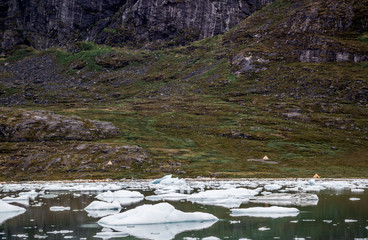 Greenland Adventure Travel