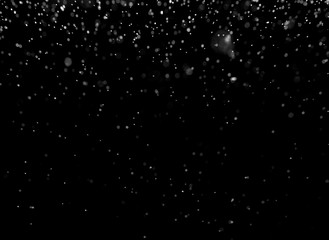 Falling Snow down On The Black Background