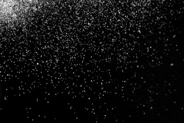 Falling Snow down On The Black Background