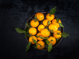 fresh mandarin fruit with leaf on dark background, fir branches
