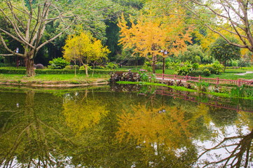 Fototapeta na wymiar Landscapes of chinese park. Chengdu city. China.