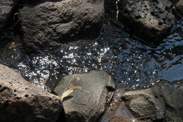 Río y piedras