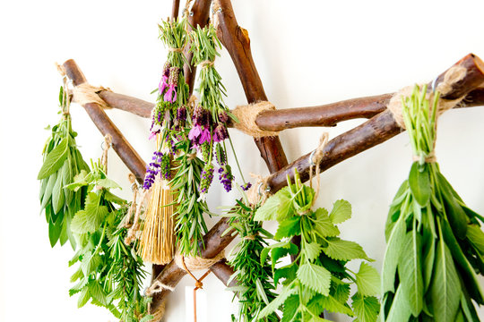 Witch's Broom / Besom hanging on rustic branch pentagram herb dryer with fresh herbs