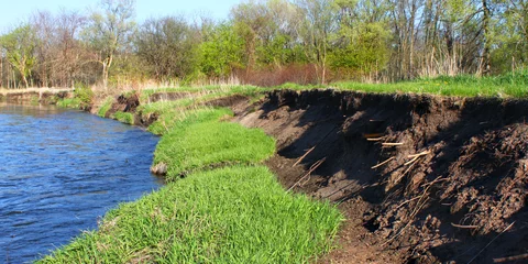 Zelfklevend Fotobehang Kishwaukee Bank Erosion Illinois © Wirepec