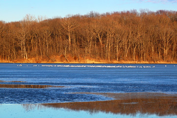 Clinton Lake State Recreation Area