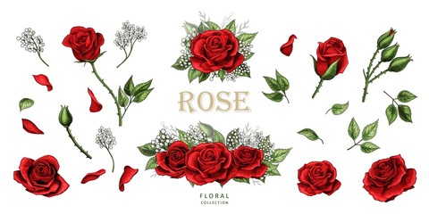 Red roses hand drawn illustration elements colored set