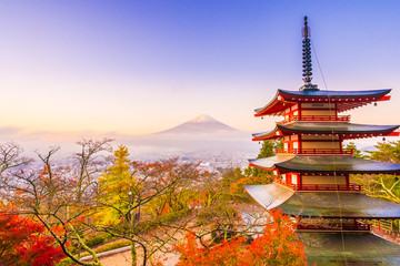 Beautiful landscape of mountain fuji with chureito pagoda around maple leaf tree in autumn season