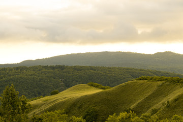 朝の美瑛の丘 / 北海道 美瑛町の観光イメージ