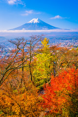 Beautiful landscape of mountain fuji around maple leaf tree in autumn season