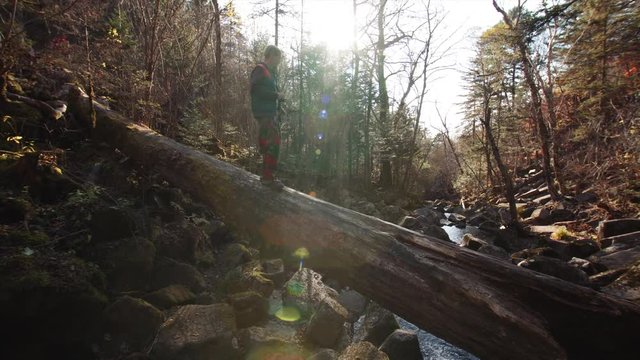 Man walks along fallen tree above small stream, and takes pictures of forest