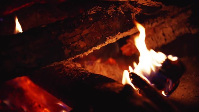 Close up view of burning firewoods, beautiful firecamp with sparks