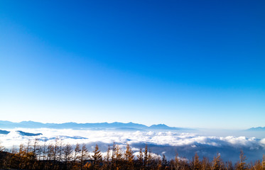 An expanse of clouds and blue sky with trees below