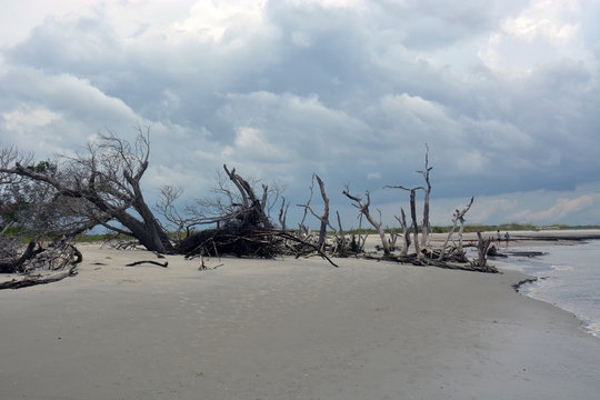 Folly Beach On Morris Island SC