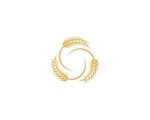 Wheat logo icon illustration