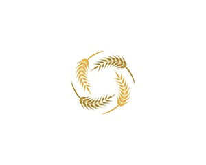 Wheat logo icon illustration