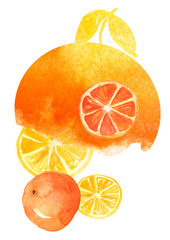 Watercolor element, composition, greeting card from orange pattern, tangerine, orange, grapefruit, citrus slices, splash of paint on white isolated background. Watercolor logo. Stylish detail