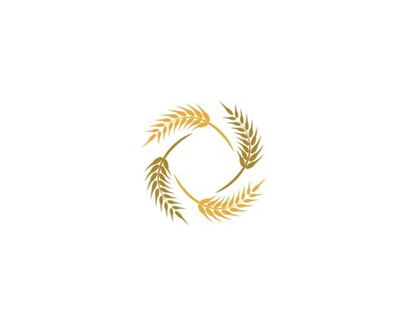 Wheat logo icon illustration