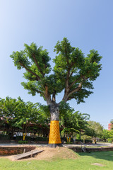 Big tree decorated with angels
