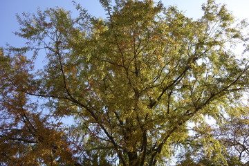 Fototapeta premium 岡山市東山周辺の風景４