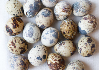 quail eggs 