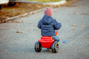 Cute little kid boy in warm autumnal clothes turned from behind having fun with tricycle