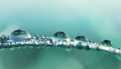 Transparent drops of water dew on grass close up.Natural background.