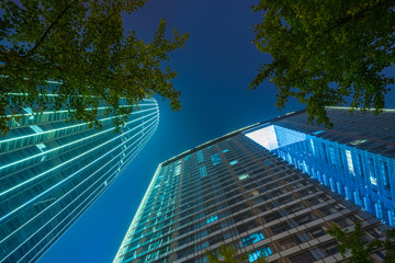modern office building with green leaves at night