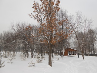 house in winter forest