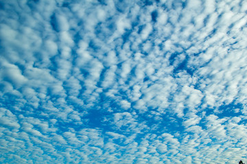 could and blue sky,Blue sky  in the morning.