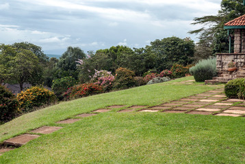 Fields with trees in Kenya on a cloudy day
