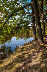 trees reflected in the river