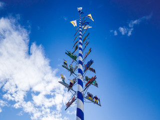 Maypole from Bavaria as a traditional symbol raising to sky