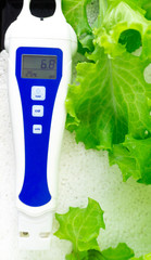pH Pens, pH Tests, Digital Soil & pH Sensors vegetables in water greenhouse on white foam, Close...