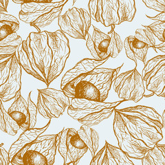 Physalis graphic illustration isolated on light blue background, vector seamless pattern medical plant, Floral ornament design texture for paper, package tea, cosmetic, wallpaper, textile, natural