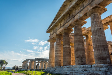 Fototapeta na wymiar Temple in the Ancient Greek Roman Town of Paestum, Italy