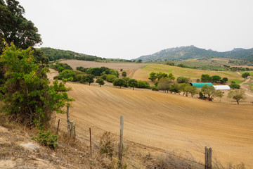 Obraz premium Corsican country side