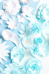 blue paper flowers on the white background