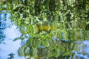 Grid on the fence reflected in the water