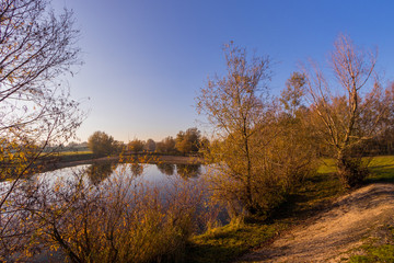 Trees along river