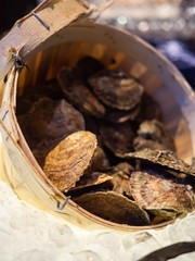 Tasty fresh oysters close-up on ice. Raw oysters are packed with nutrition, high in calcium, potassium, magnesium, vitamin and mineral. Flavor are sweet and refreshing. Believed to be an aphrodisiac.