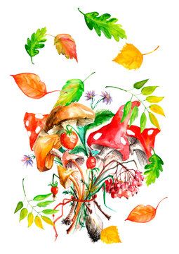 Bunch of mushrooms, berries, plants, herbs, over white background. Figure executed in watercolor. Autumn leaves, rowan branch, viburnum, flowers, wild herbs. Beautiful vintage postcard.