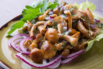 Pickled mushrooms served with onion and parsley