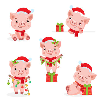 Set Of Cute Funny Pigs Vector. The Symbol Of The Chinese New 2019 Year. Vector Illustration On White Background. Christmas Pigs Vector.