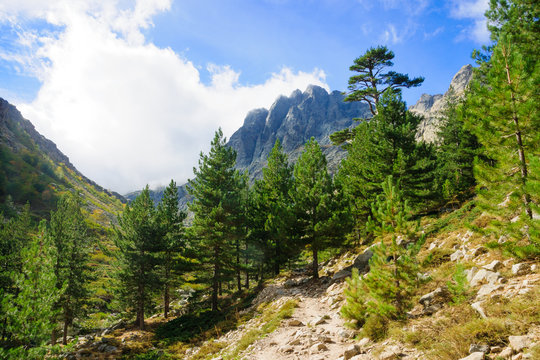 Restonica Gorge
