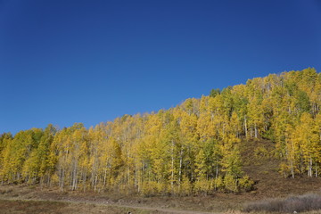 Fototapeta premium autumn in the mountains