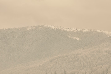 Hills with snowy forest. Winter landscape
