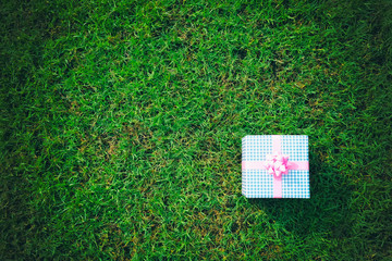 Gift box on the green lawn for Christmas, new year, valentine day or anniversary day and have copy space.